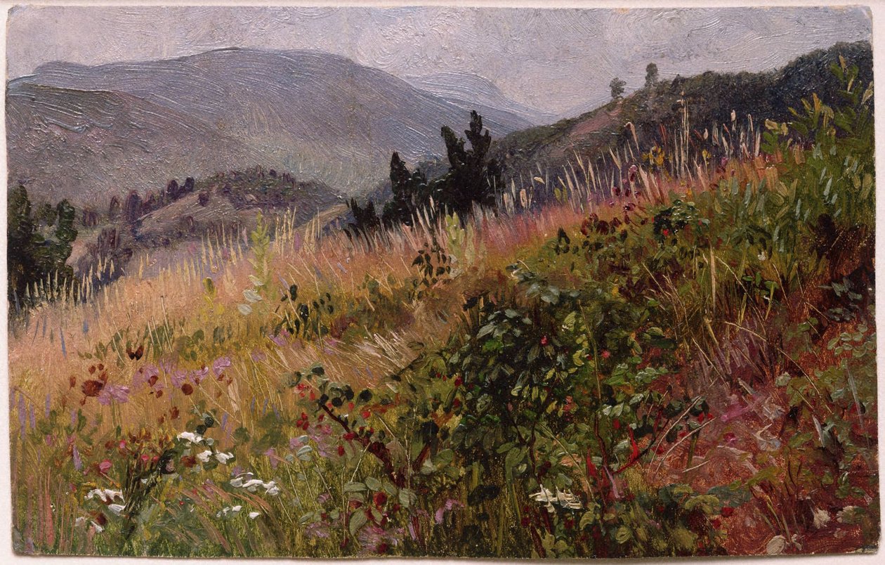 Essexin piirikunta Adirondackvuorilla tekijältä William Trost Richards