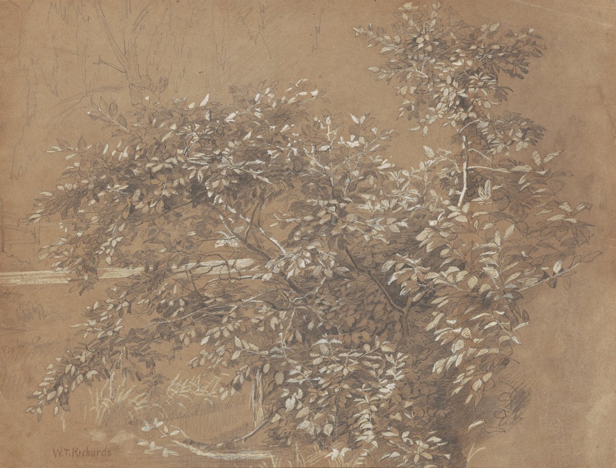 Lehvistö tekijältä William Trost Richards