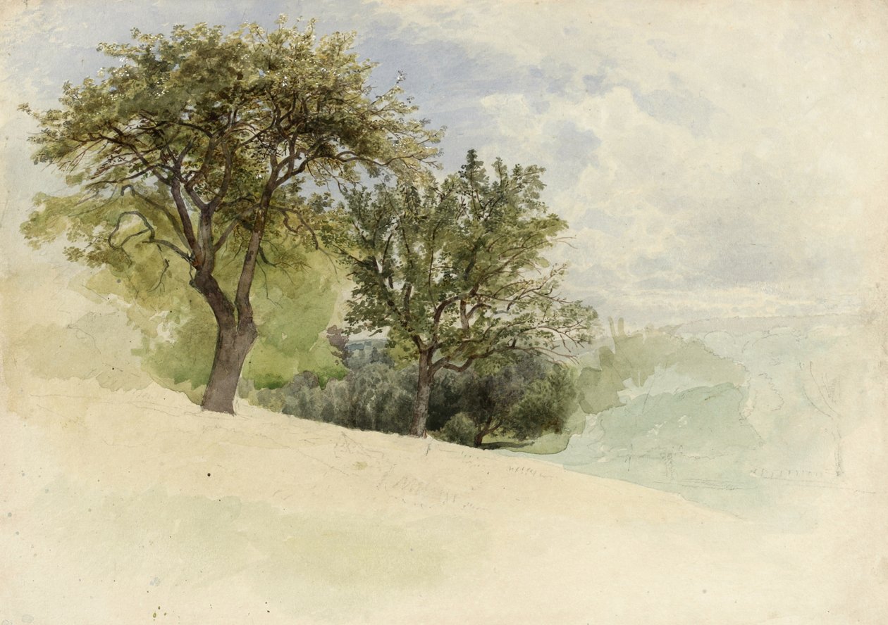 Maisema puiden kanssa rinteessä, 1880-85 (wc, grafiittia ja valkoista guassia kermanvärisellä kudospaperilla) tekijältä William Trost Richards