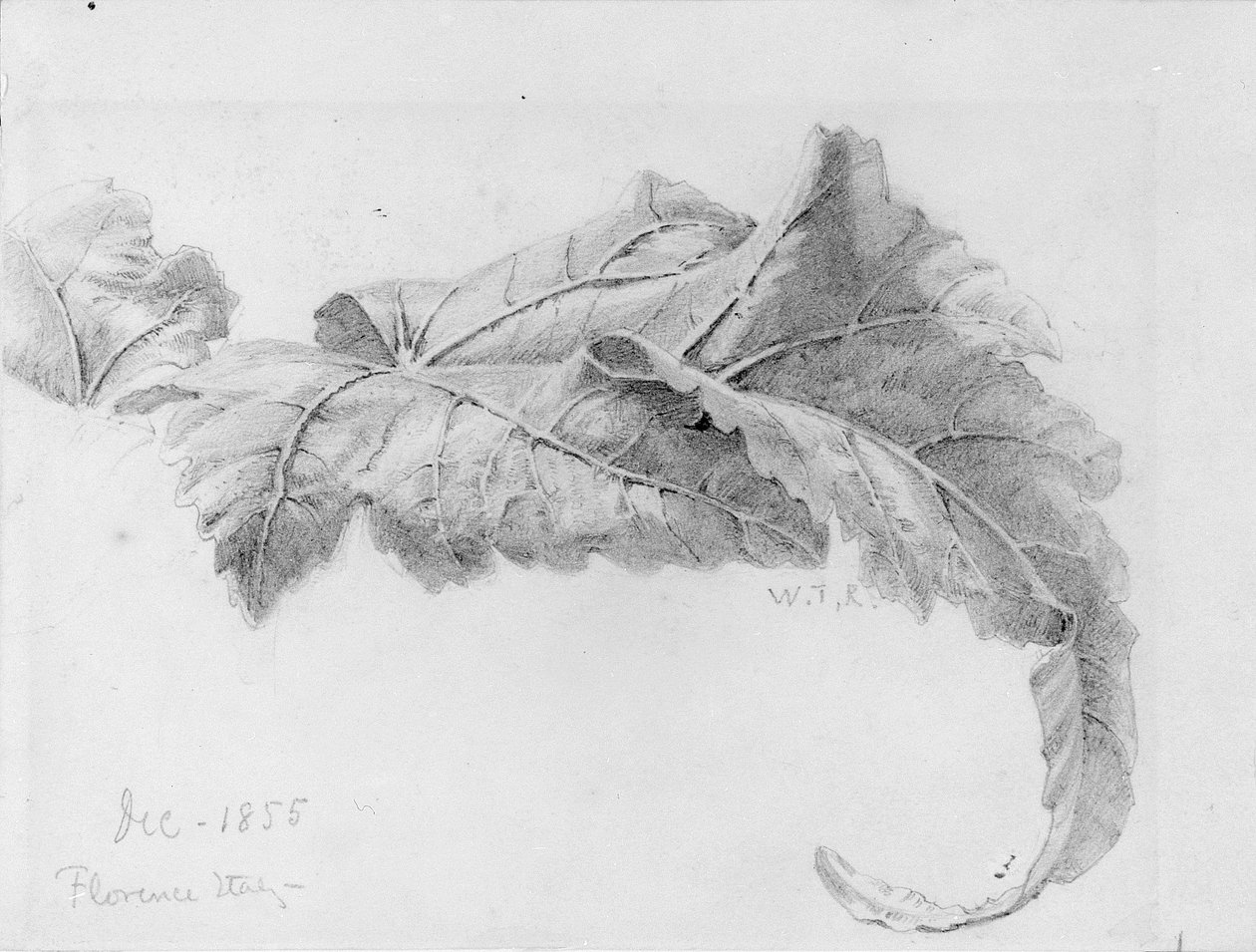 Lehdet tekijältä William Trost Richards