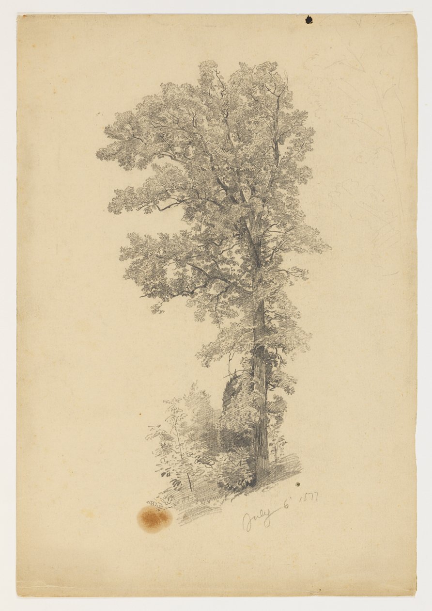Lehdistöjen tutkimus tekijältä William Trost Richards