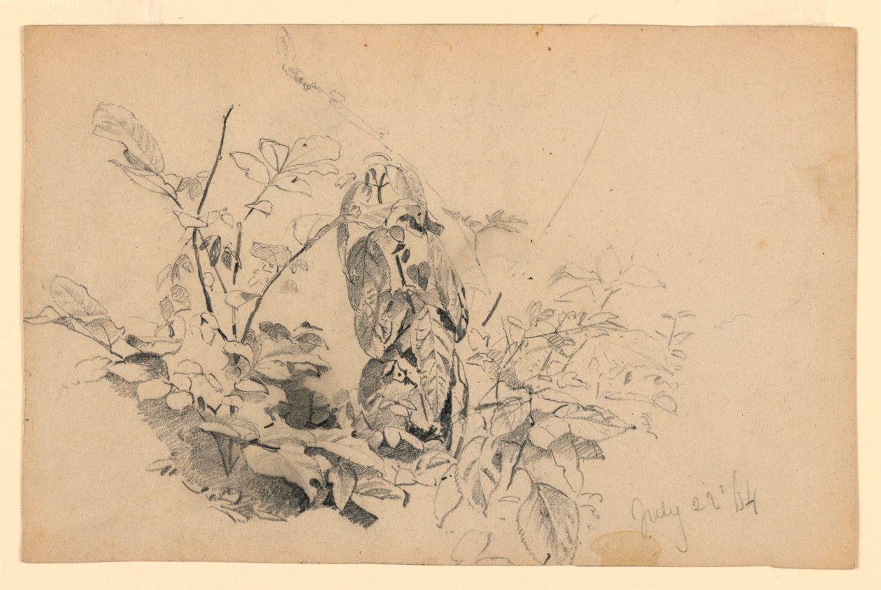 Lehdistöjen tutkimus tekijältä William Trost Richards