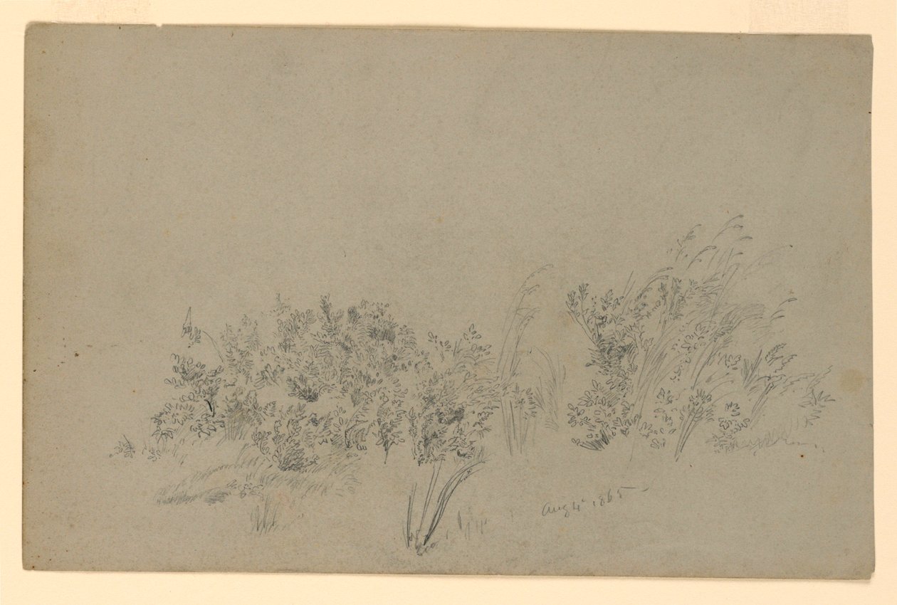 Lehdistöjen tutkimus tekijältä William Trost Richards