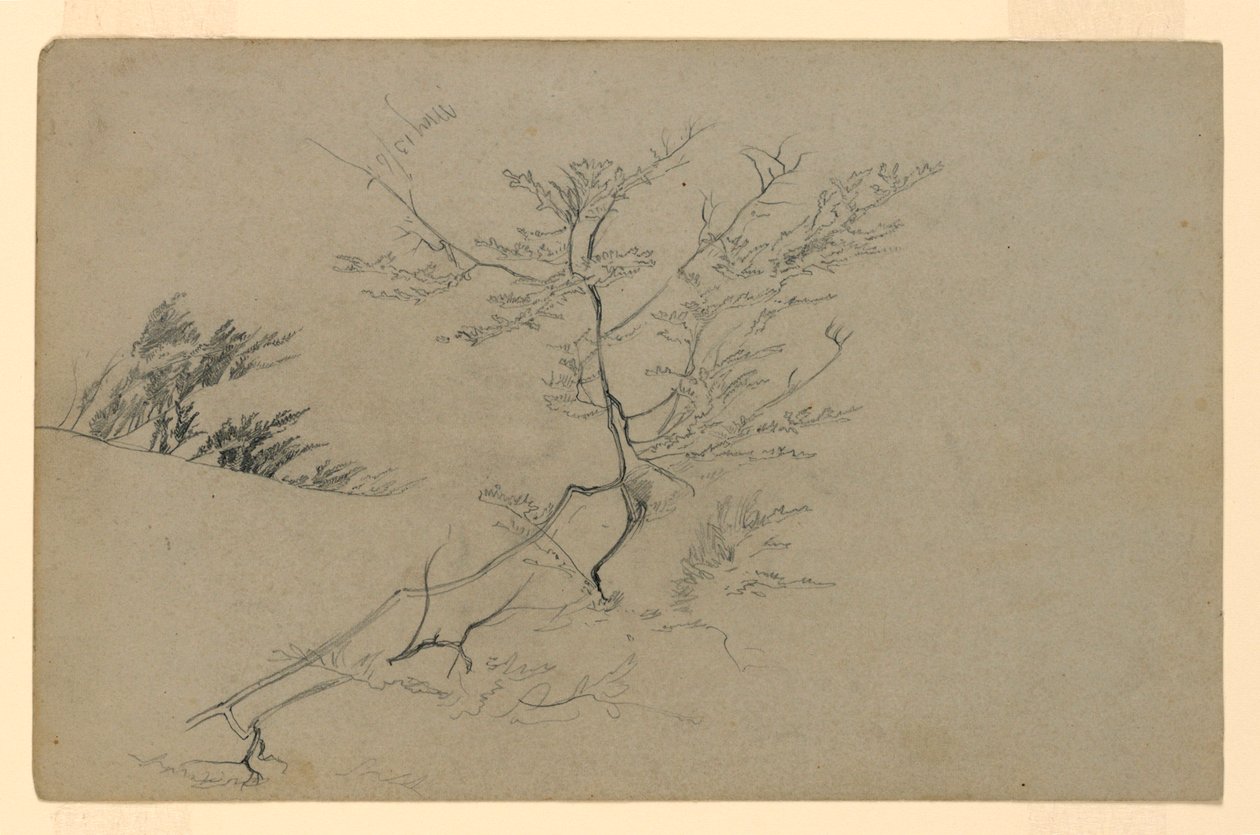 Lehdistöjen tutkimus tekijältä William Trost Richards