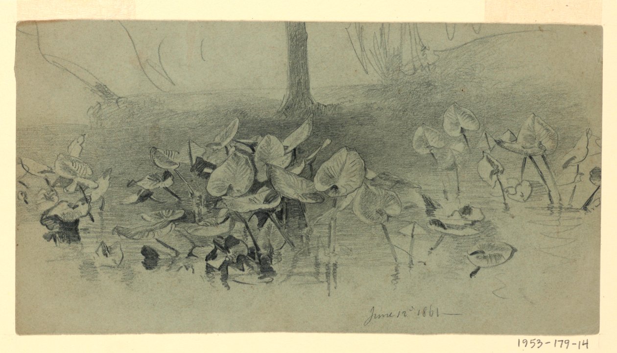 Lehdistöjen tutkimus tekijältä William Trost Richards