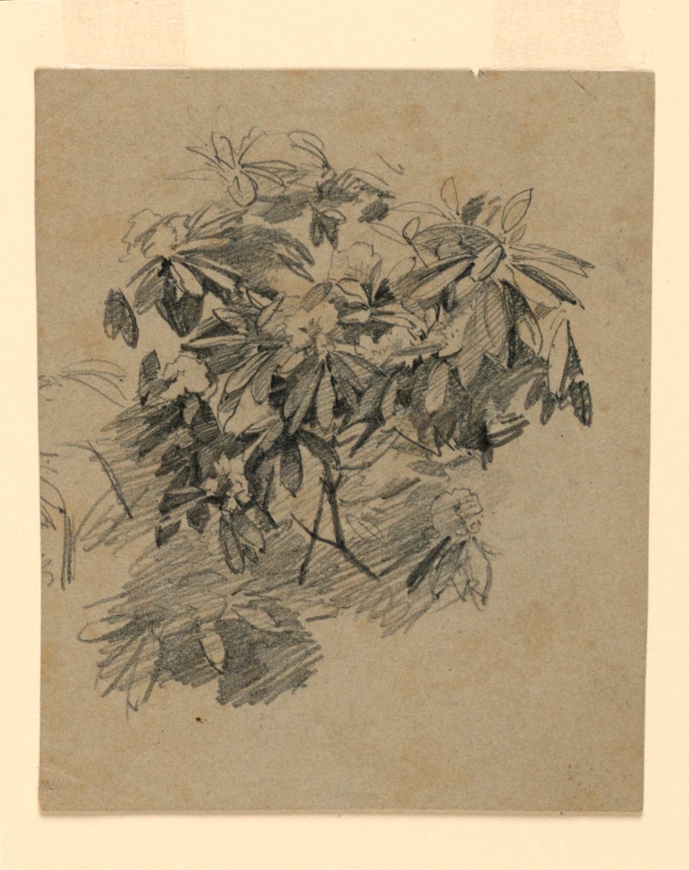 Lehdistöjen tutkimus tekijältä William Trost Richards