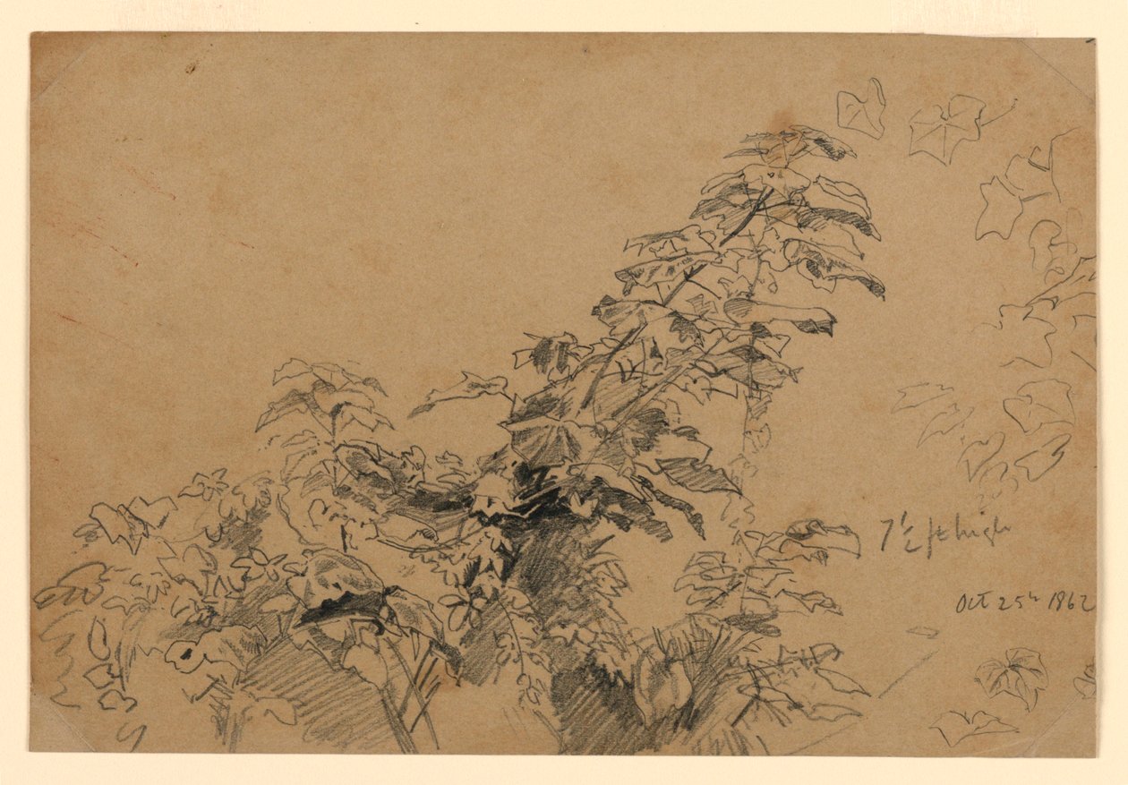 Lehdistöjen tutkimus tekijältä William Trost Richards