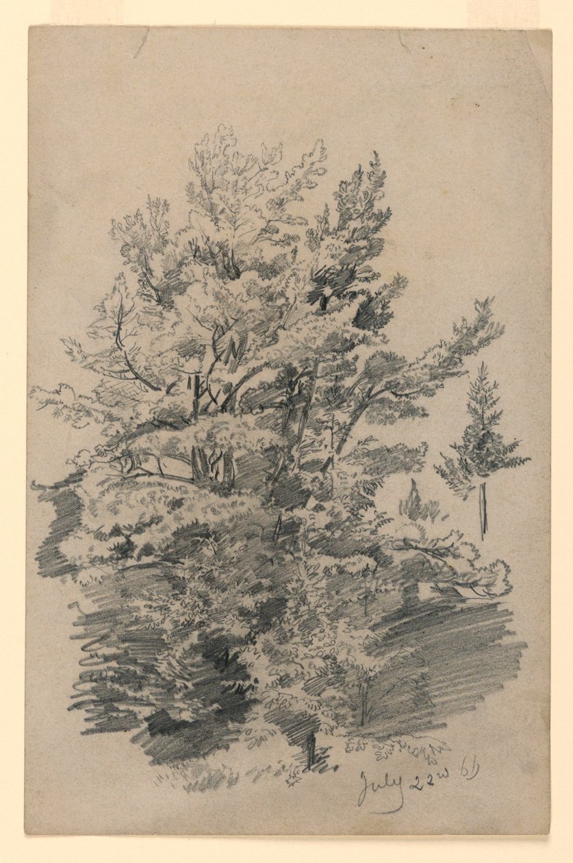 Lehdistöjen tutkimus tekijältä William Trost Richards