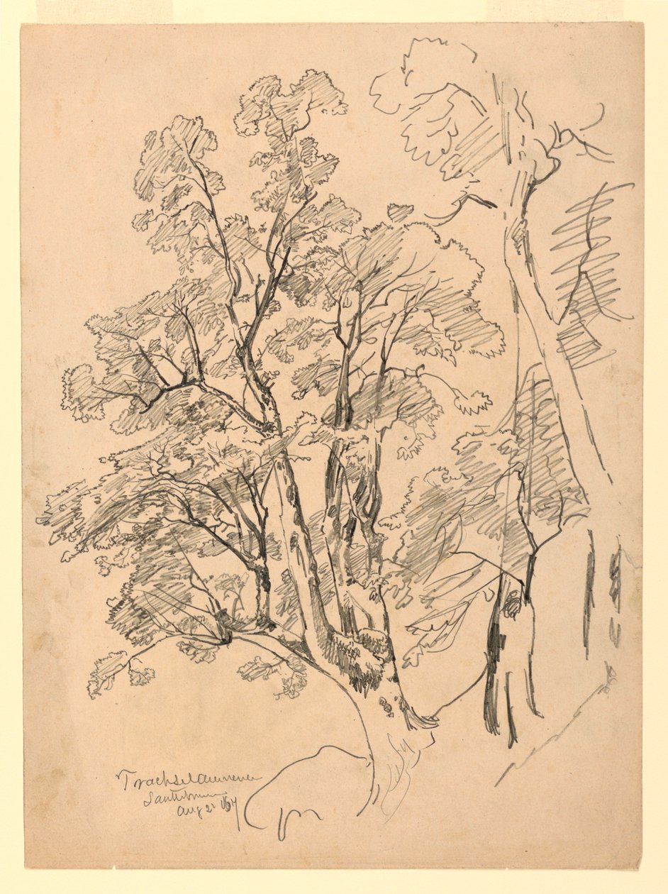 Lehdistötutkimus, Trachselwald, Bern, Sveitsi tekijältä William Trost Richards