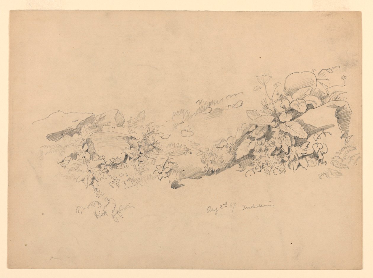 Estudi del fullatge, Trachselwald, Berna, Suïssa finlandès tekijältä William Trost Richards