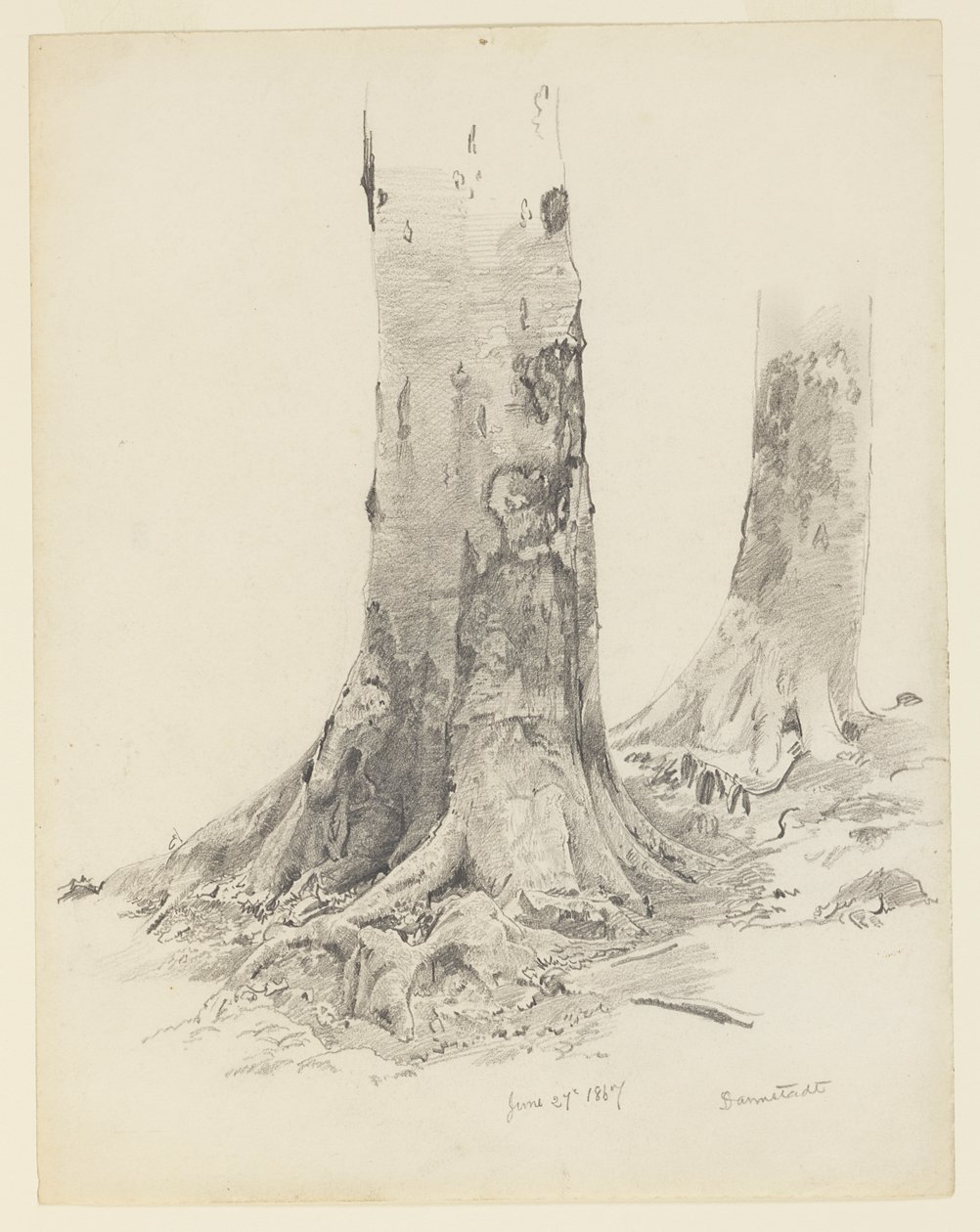 Puunrungot, Darmstadt tekijältä William Trost Richards