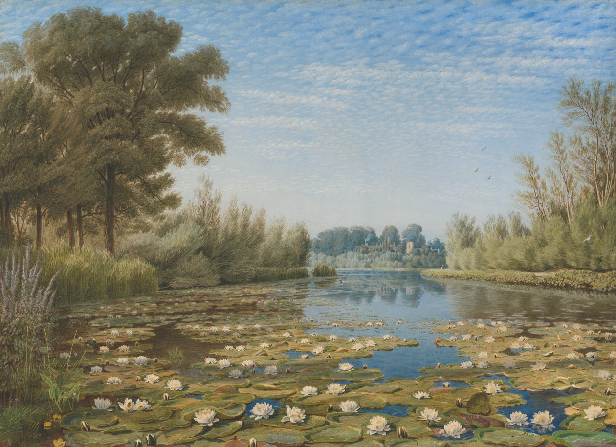 Kohtaus lähellä Shiptonia Cherwellissä, Oxfordshiressä tekijältä William Turner of Oxford