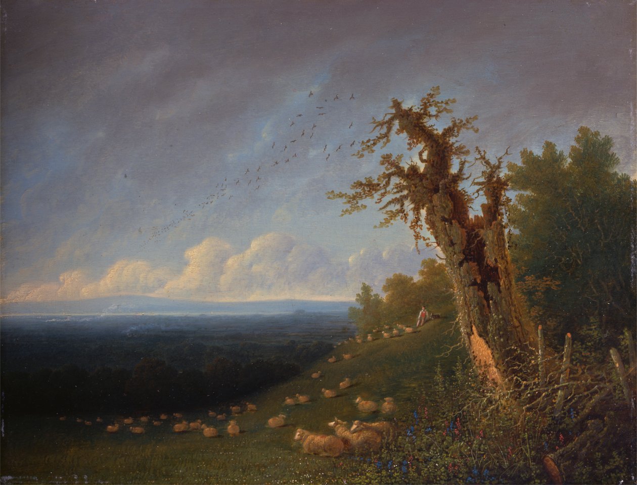 Paimenpoika rinteessä tekijältä William Turner of Oxford