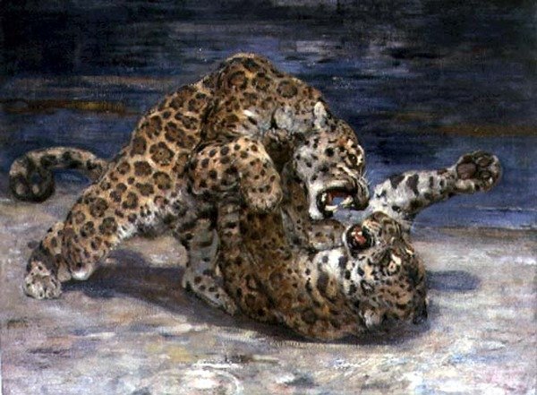 Leopards Fighting, n. 1910 (öljy kankaalle) tekijältä William Walls