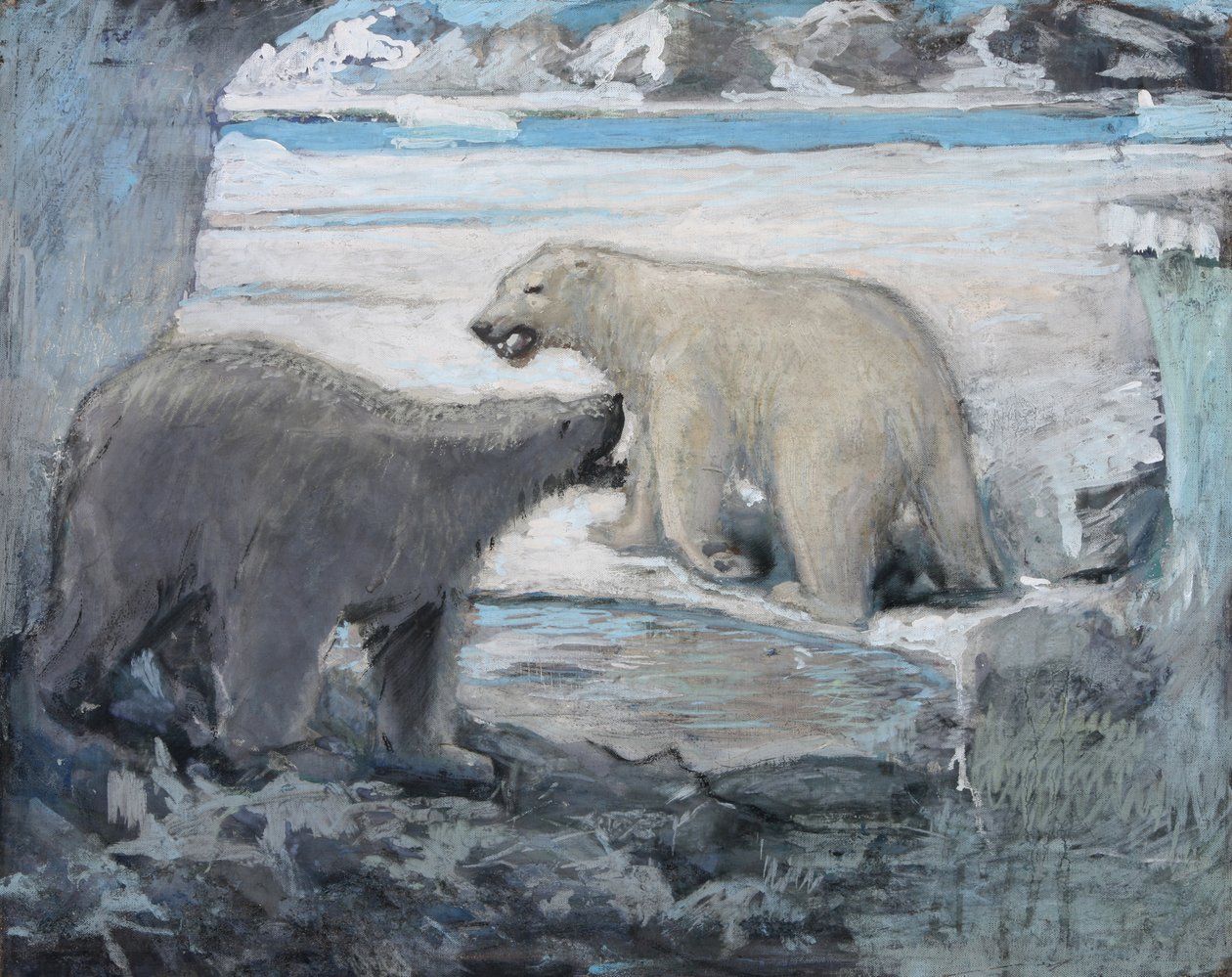 The Bears