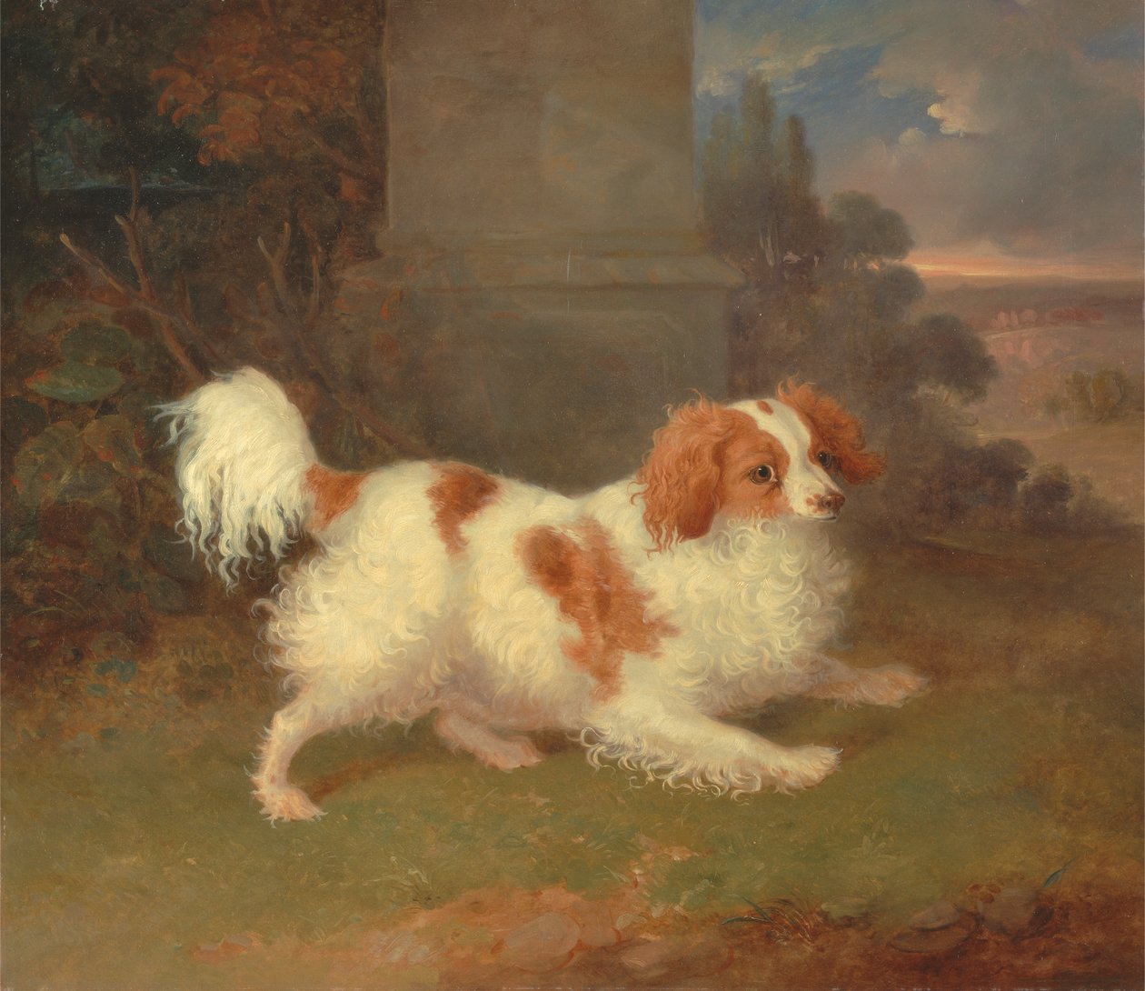Blenheim-spanieli tekijältä William Webb