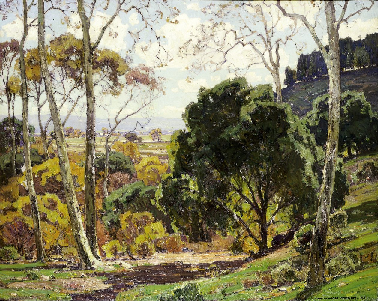 Auringonpaisteen päivät tekijältä William Wendt