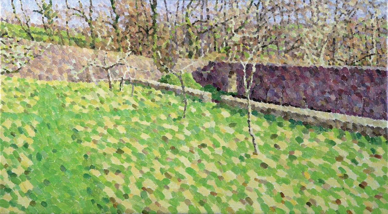 Orchard in Winter Sun, 2011 (Öljy kankaalle) tekijältä William Wilkins