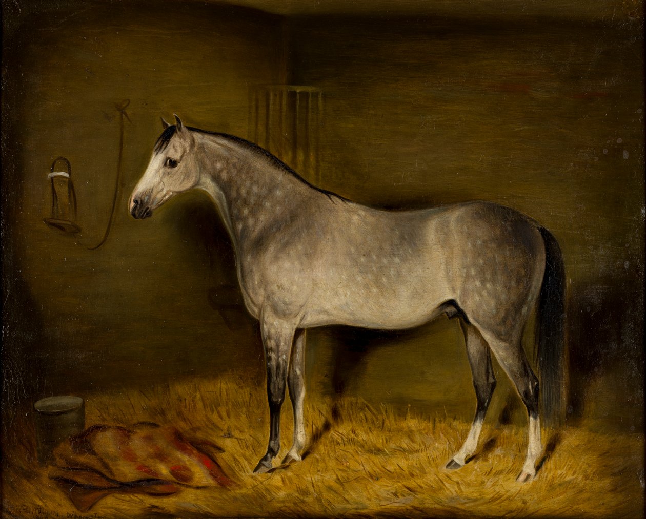 Arab Horse irtolaatikossa, n.1860 (öljy kankaalle) tekijältä William Williams