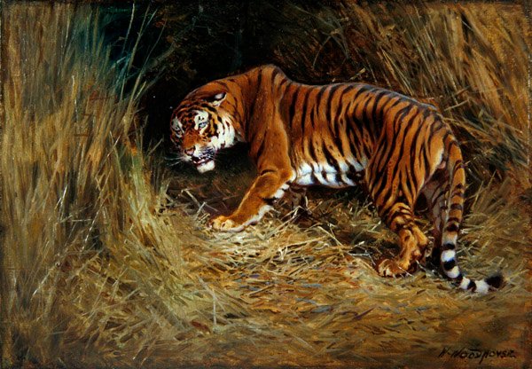 Prowling Tiger (öljy kankaalle asetettuna alukselle) tekijältä William Woodhouse