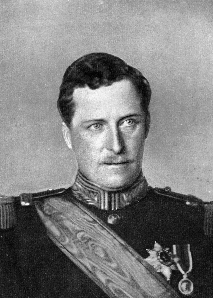 Albert, Belgian kuningas, ensimmäinen maailmansota, 1914. tekijältä William and Daniel Downey