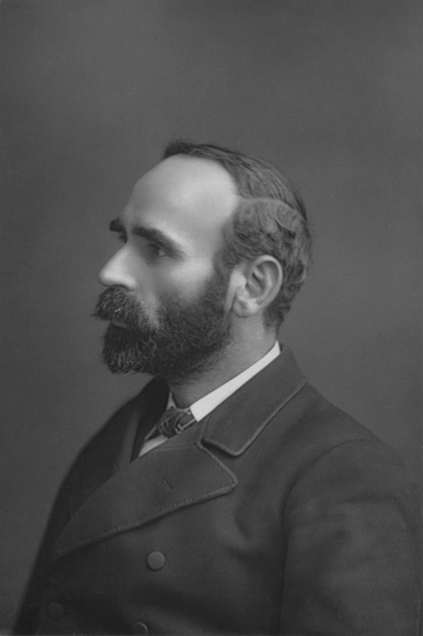 Herra. Michael Davitt, 1891 tekijältä William and Daniel Downey