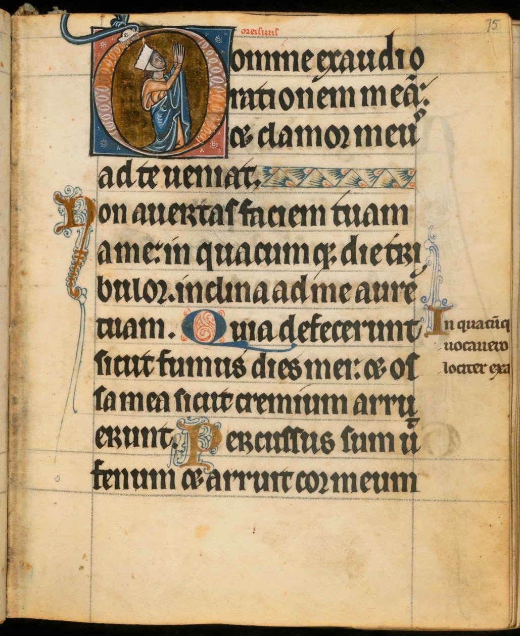 Lisätä. 49999, f.75 Alkukirjain "D", joka kuvaa naista rukouksessa, kuvitus "De Brailes Hoursista", n. 1240 (vellum) tekijältä William de Brailes
