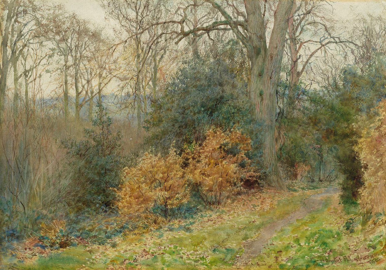 Polku metsän läpi, 1902 tekijältä Wilmot Pilsbury