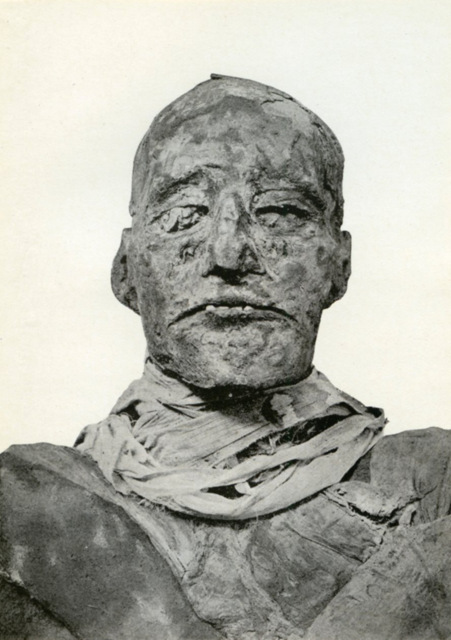 20. dynastian muinaisen Egyptin faaraon Ramses III:n muumion pää, n. 1156 eKr. 1926 tekijältä Winifred Mabel Brunton