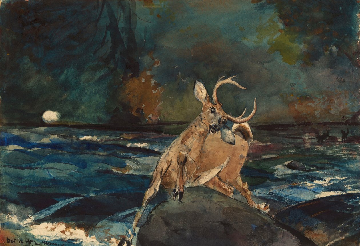 Hyvä laukaus, Adirondacks tekijältä Winslow Homer