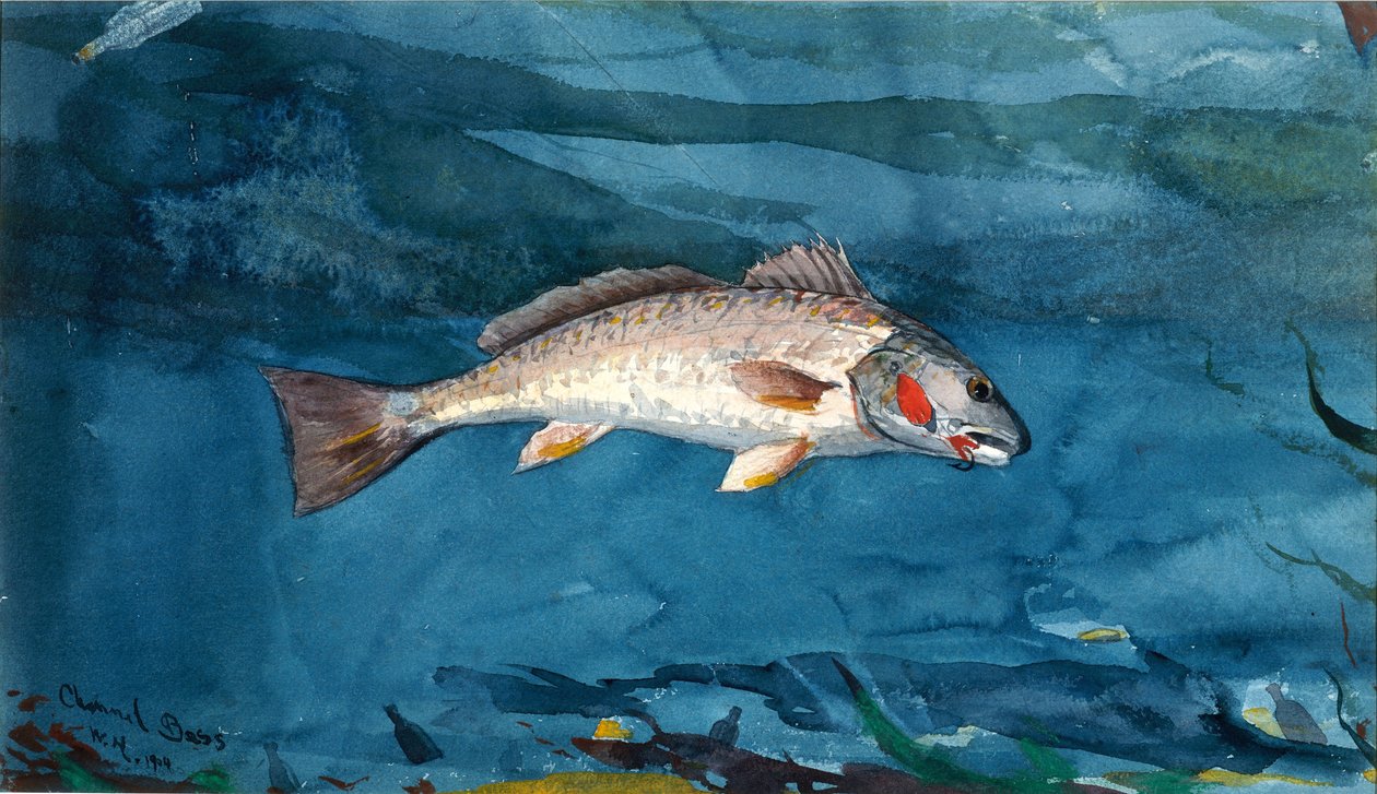 Kanavan basso tekijältä Winslow Homer