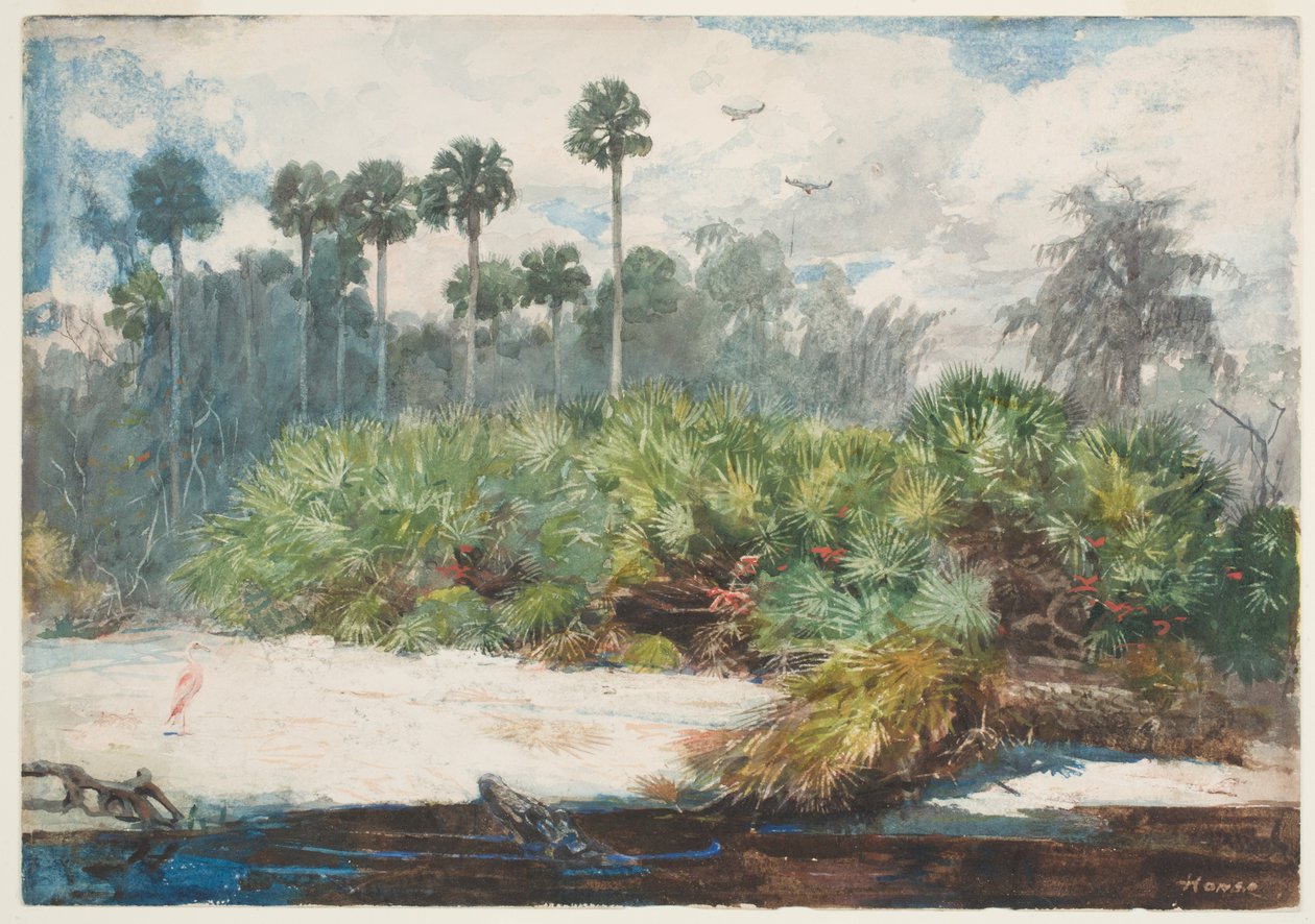 Floridan viidakossa (wc grafiitin päällä paperilla) tekijältä Winslow Homer