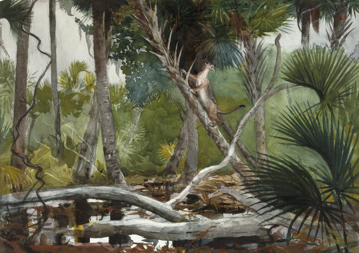 Viidakossa, Floridassa tekijältä Winslow Homer