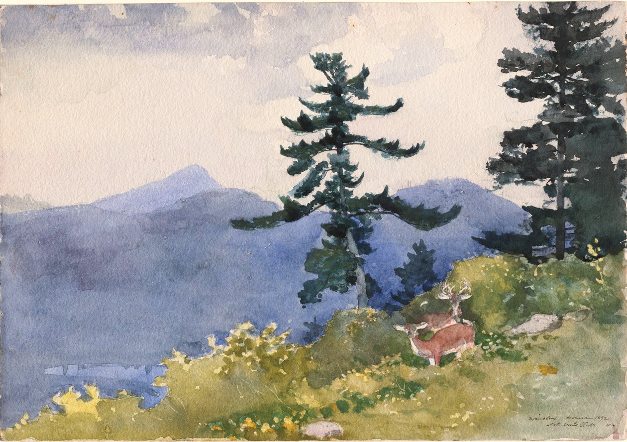 North Woods Club, Adirondacks tekijältä Winslow Homer
