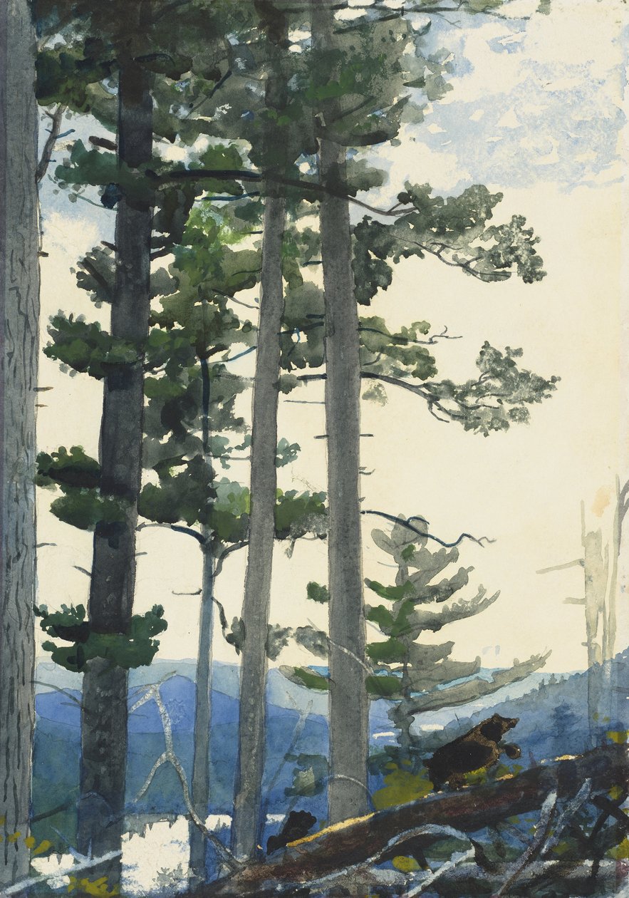 Vanhat uudisasukkaat tekijältä Winslow Homer
