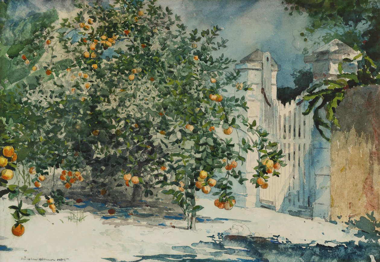 Oranssi puut ja portti tekijältä Winslow Homer