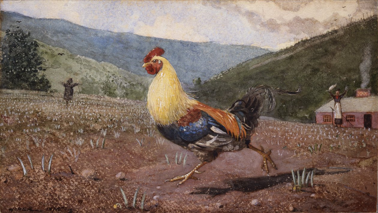 Kukko, 1876 tekijältä Winslow Homer