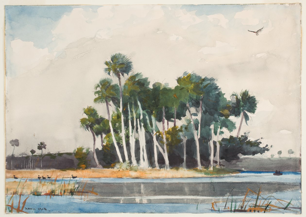 Turkey Buzzard (wc grafiitin päällä paperilla) tekijältä Winslow Homer