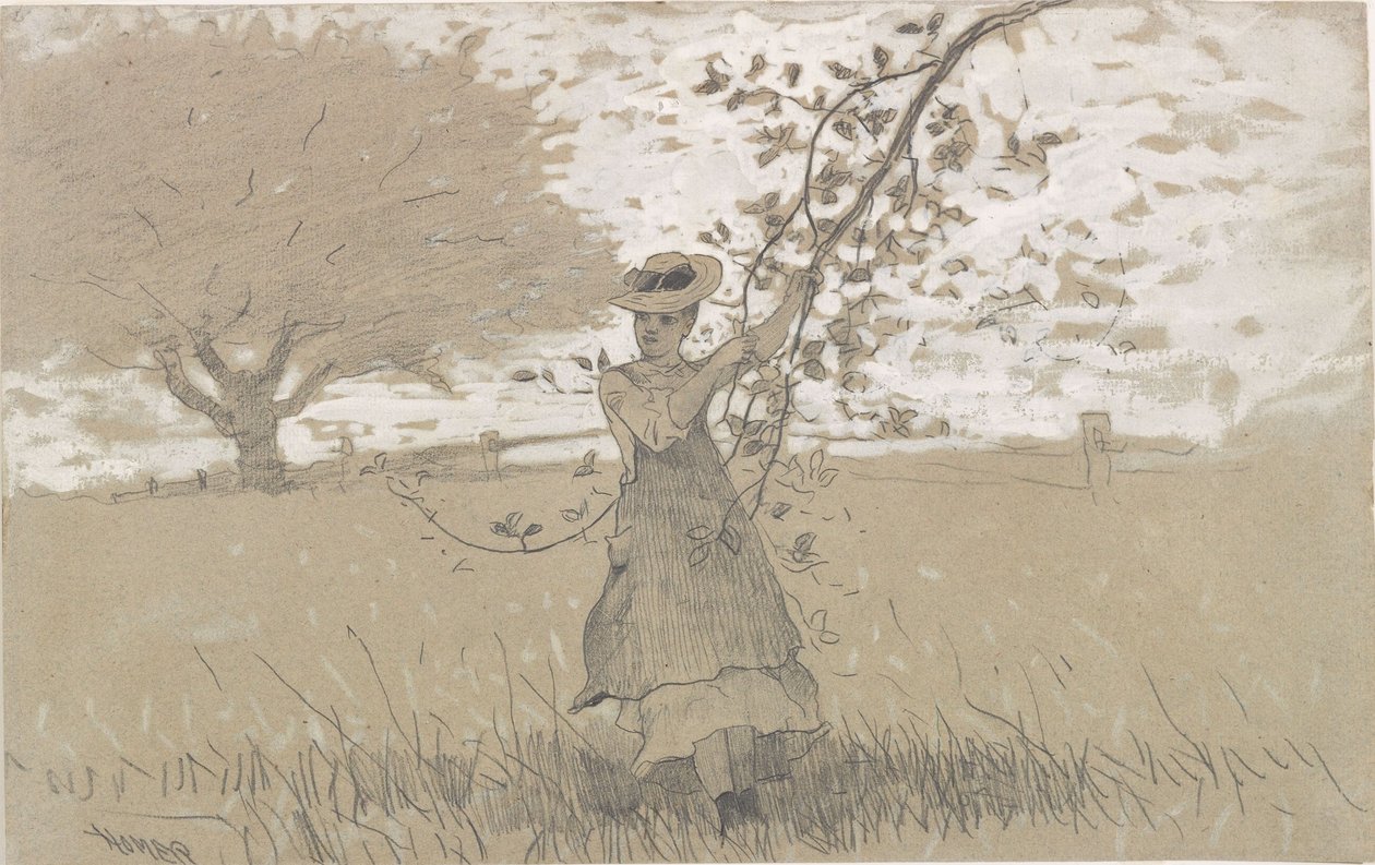 Apple Boughsin alla tekijältä Winslow Homer