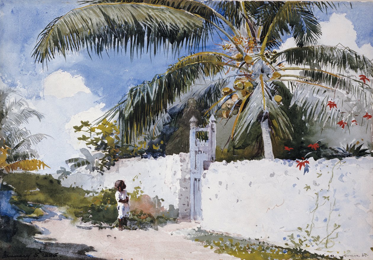 Puutarha Nassaussa, 1885 tekijältä Winslow Homer