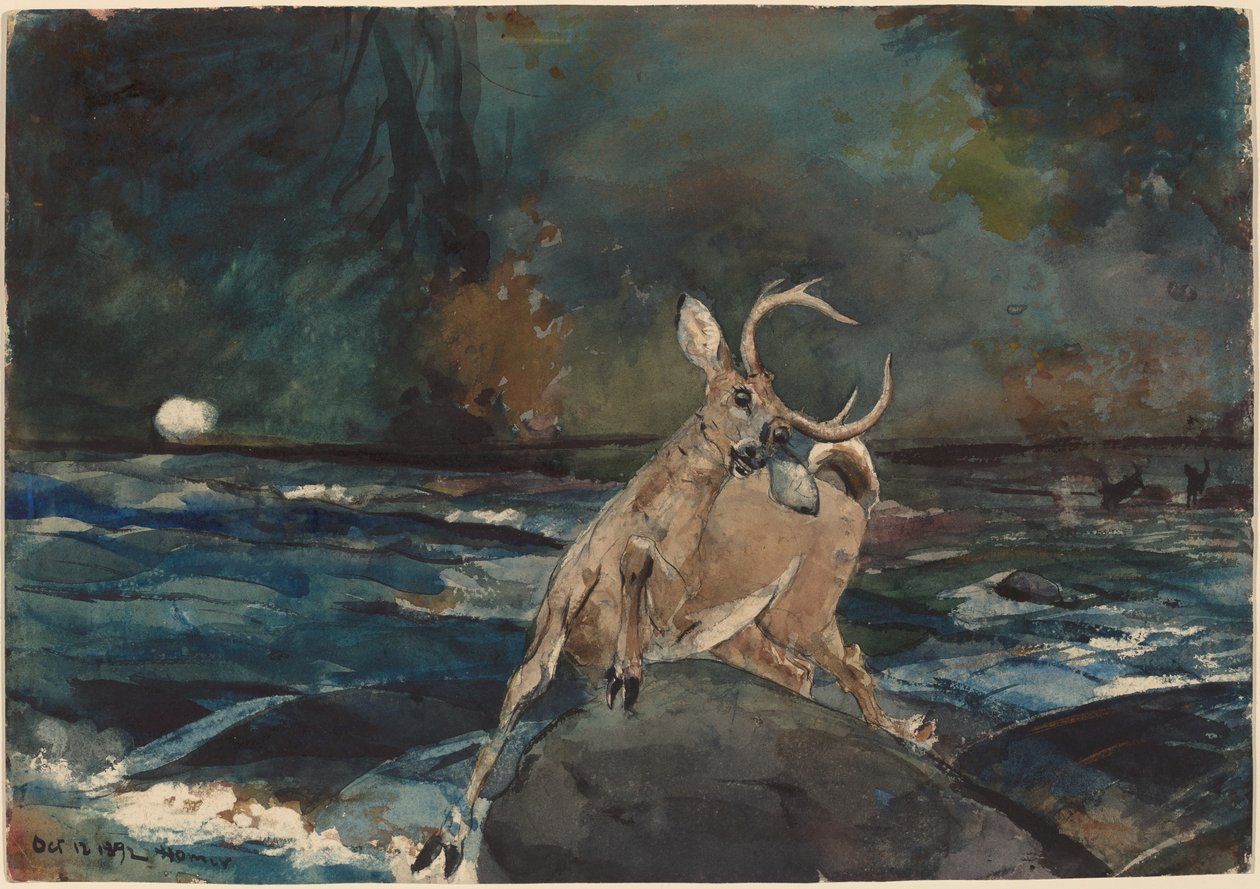 Hyvä laukaus, Adirondacks tekijältä Winslow Homer