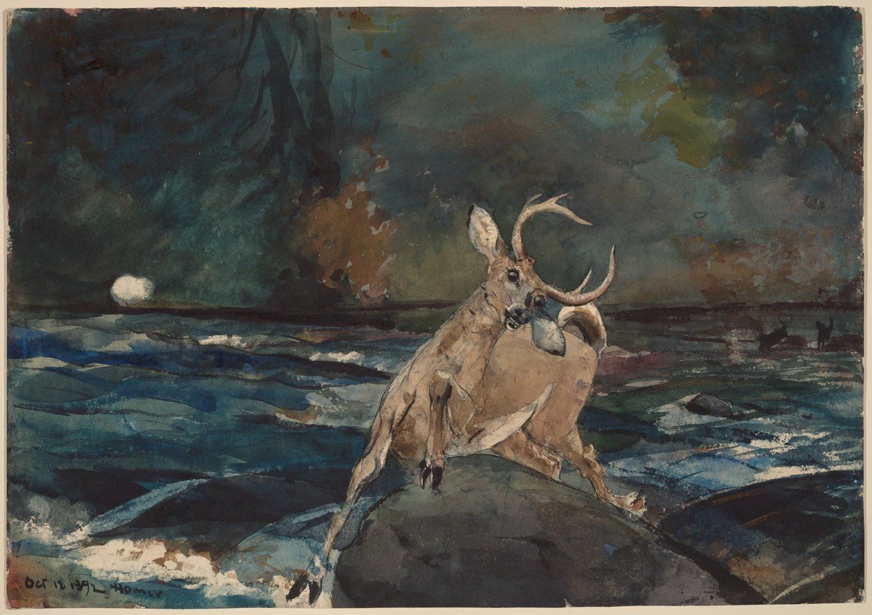 Hyvä laukaus, Adirondacks tekijältä Winslow Homer
