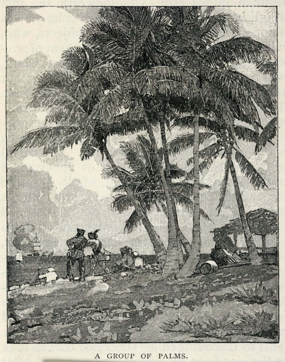 Palmuryhmä, The Century Magazine, helmikuu 1887. tekijältä Winslow Homer