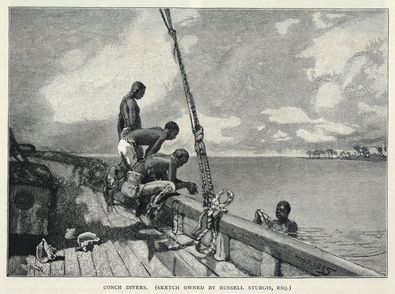 Hurrikaani, Hamppukasvatus, Abacon saarella, kukkamyyjä, simpukkasukeltajat, Century Magazine, helmikuu 1887. tekijältä Winslow Homer