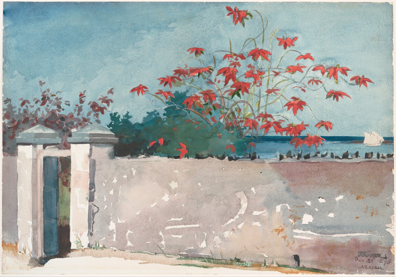 Seinä, Nassau tekijältä Winslow Homer