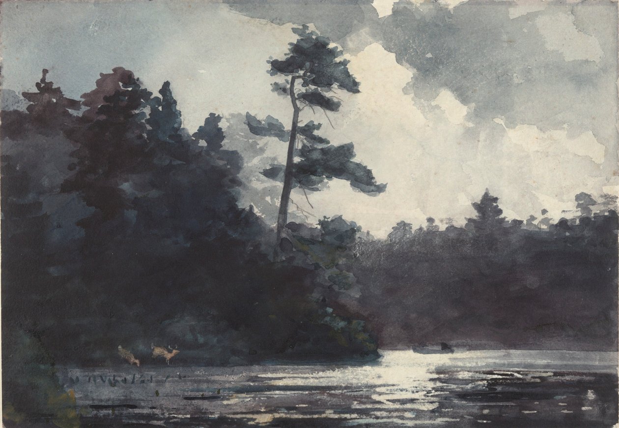 Adirondack-järvi tekijältä Winslow Homer