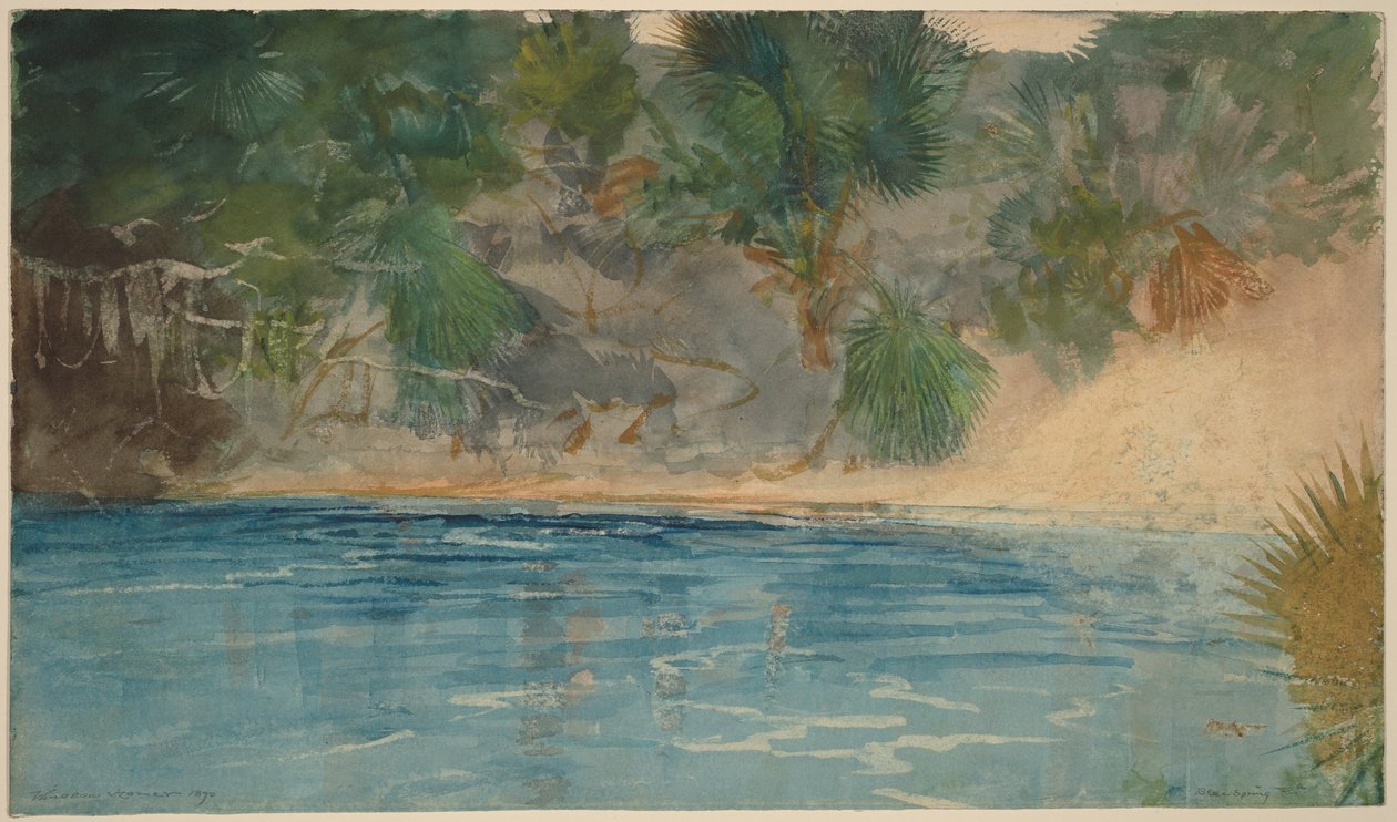 Blue Spring, Florida tekijältä Winslow Homer