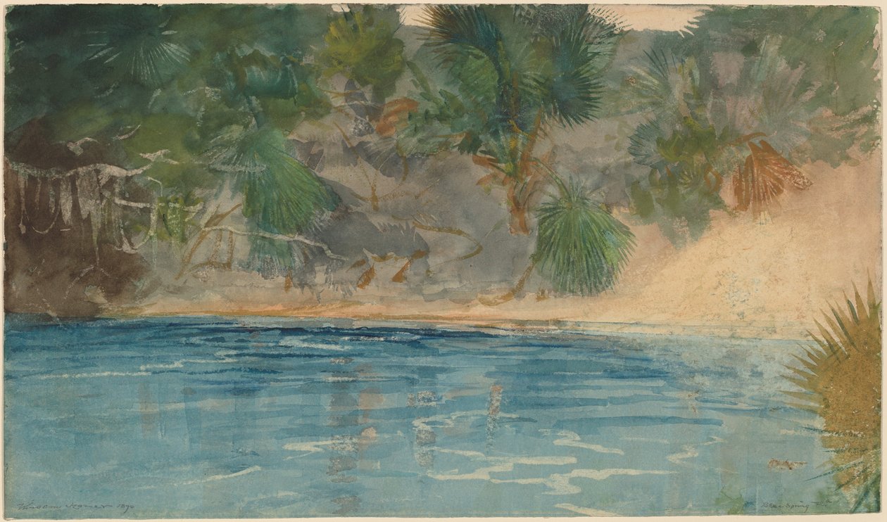 Blue Spring, Florida, 1890. tekijältä Winslow Homer