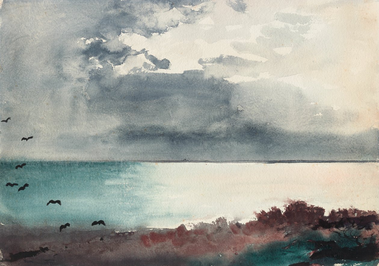 Myrsky, Mainen rannikko tekijältä Winslow Homer