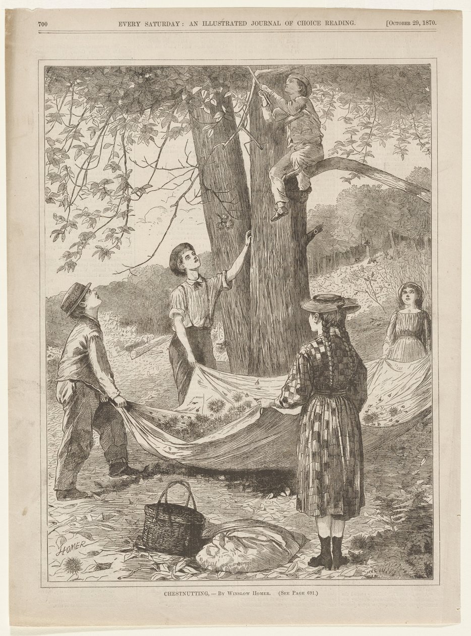 Kastanjoiden kerääminen tekijältä Winslow Homer